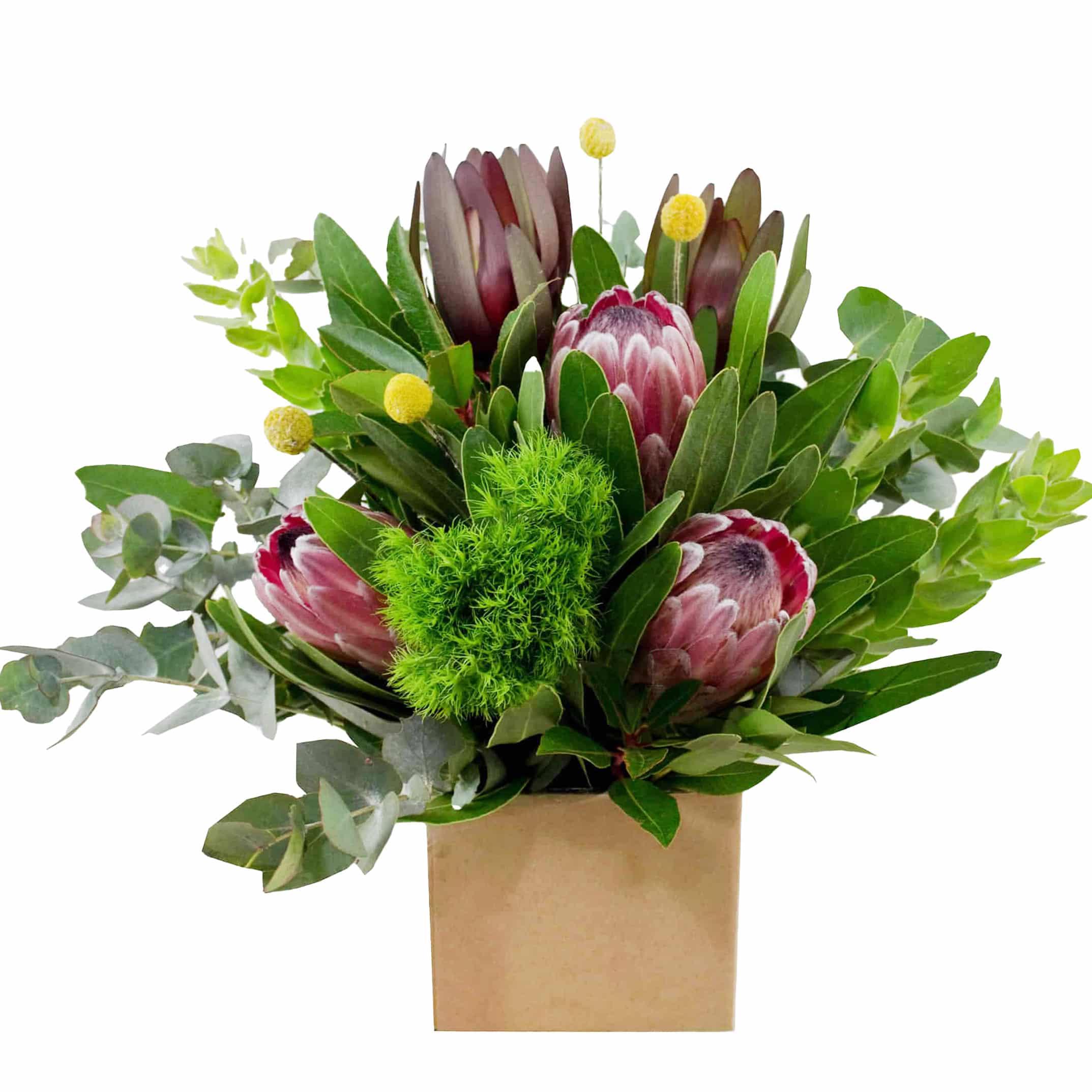Nothing But Native Flowers: Box arrangement of native Australian flowers like banksia and protea.