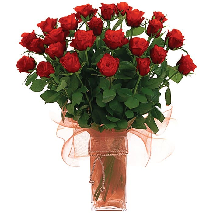 A clear glass vase holding 24 long-stem red roses, accented with cord and netting for a luxurious floral display.
