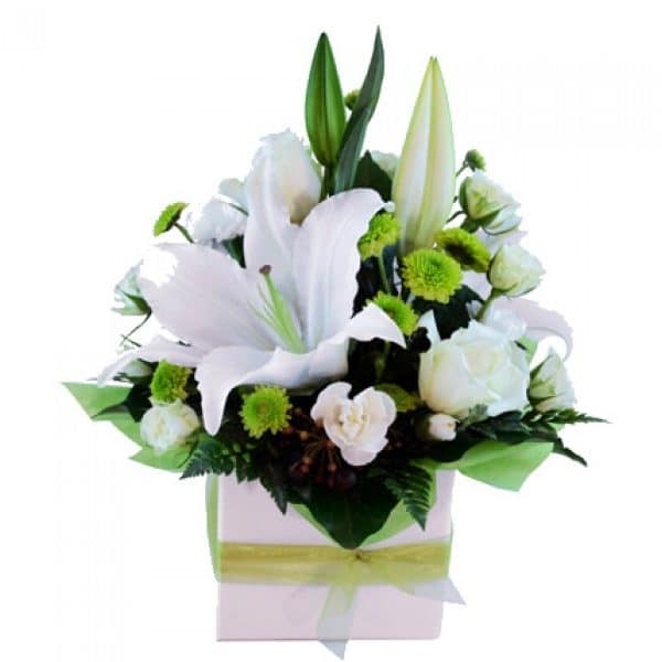 A serene white and green mini box of oriental lilies, roses, spray roses, and chrysanthemums with greenery.