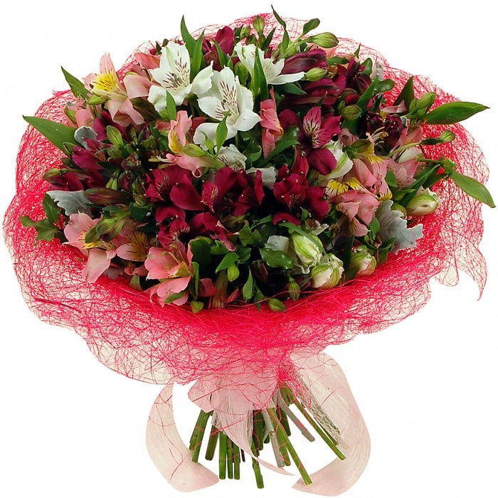 Fairy Combustion Alstroemeria Bouquet: Red, pink, and white alstroemeria bouquet.