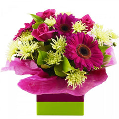 A bright box of hot pink gerberas, hot pink roses, and green chrysanthemums, accented with lush greenery.