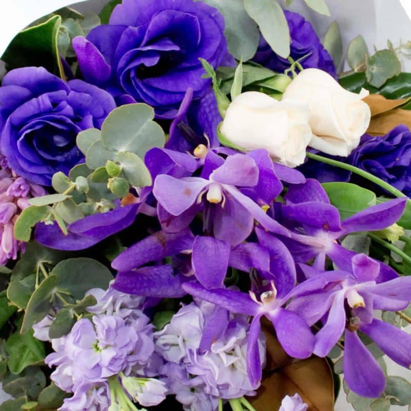 Best Selling flowers Delivery Australia wide Same Day All Prices