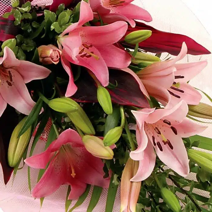 Pink Lilies combo. FlowerSales